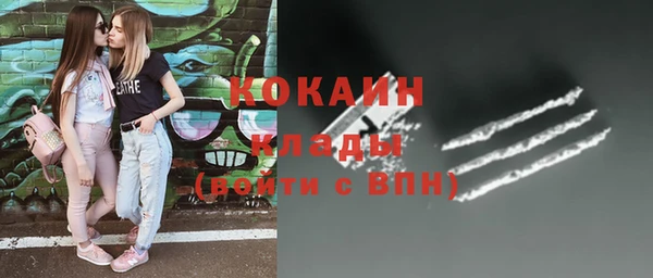 индика Михайлов