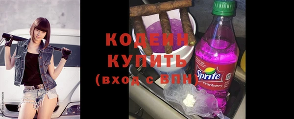 индика Михайлов