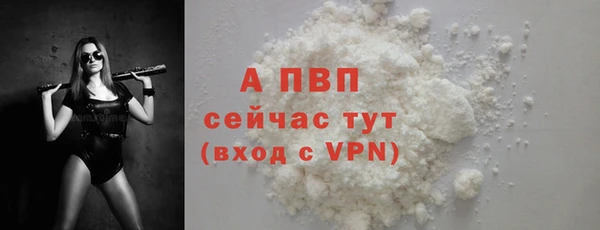 индика Михайлов