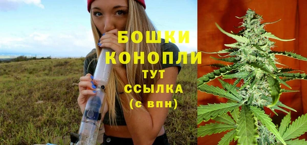 индика Михайлов