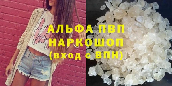 индика Михайлов