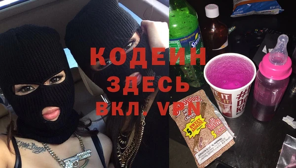 индика Михайлов
