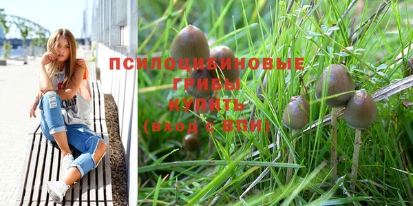 индика Михайлов