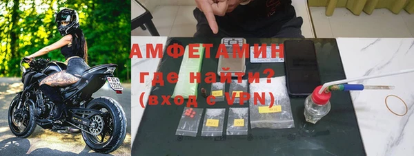 индика Михайлов