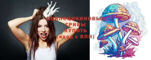 метадон Михайловск