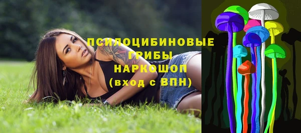 индика Михайлов