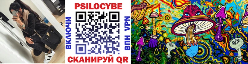Псилоцибиновые грибы Cubensis  кракен tor  Альметьевск  закладки 