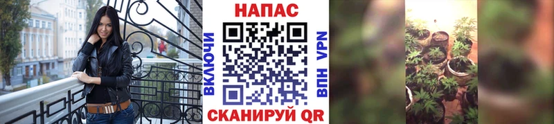 Бошки Шишки OG Kush Альметьевск